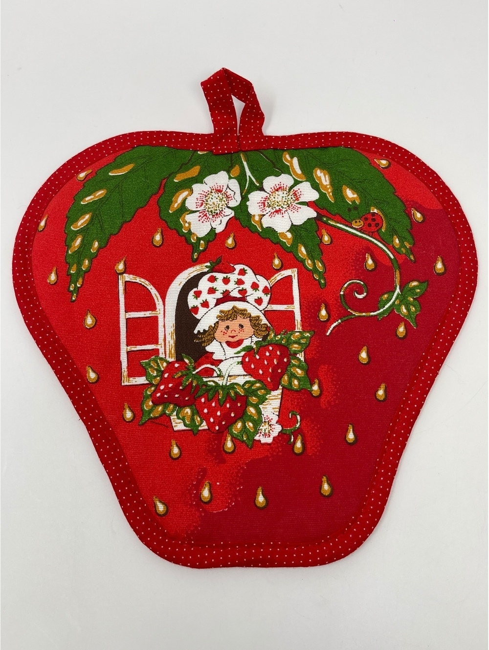 Vintage 1980 Strawberry Shortcake Pot Holder Strawberry Shaped Window Ladybug